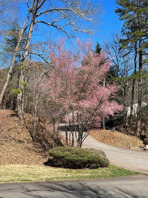 Creekside Gated Golf Mtn Villa W/Fast Wifi & Paved 富兰克林 外观 照片