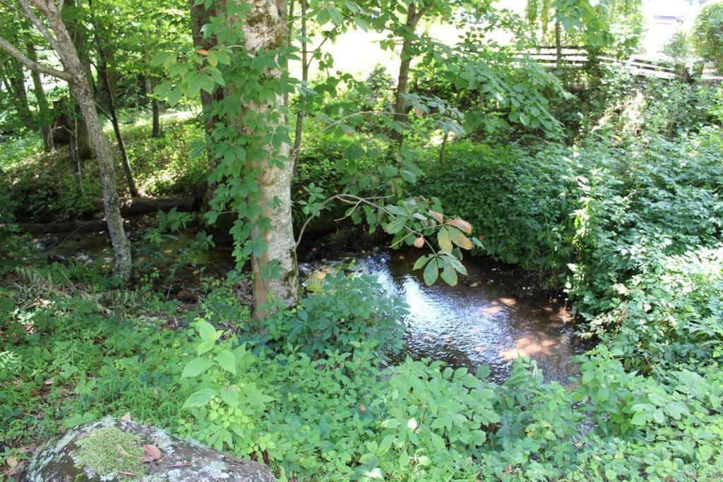 Creekside Gated Golf Mtn Villa W/Fast Wifi & Paved 富兰克林 外观 照片