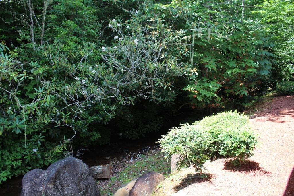 Creekside Gated Golf Mtn Villa W/Fast Wifi & Paved 富兰克林 外观 照片