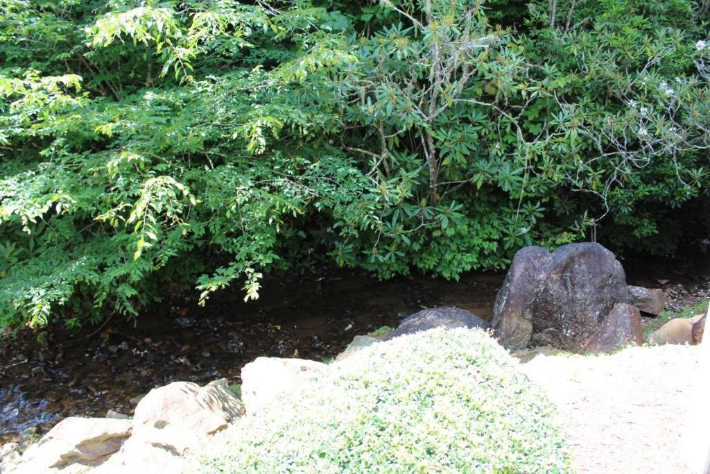 Creekside Gated Golf Mtn Villa W/Fast Wifi & Paved 富兰克林 外观 照片